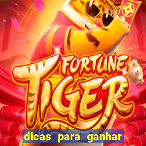 dicas para ganhar no fortune rabbit