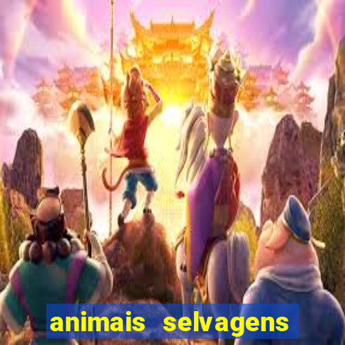 animais selvagens fotos e nomes