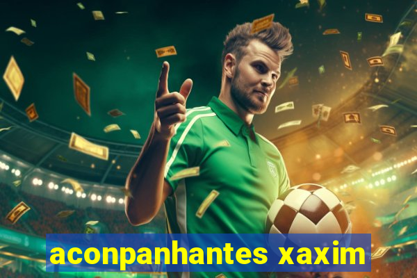 aconpanhantes xaxim