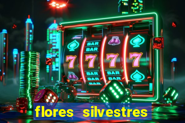 flores silvestres desbravadores desbravadores 25