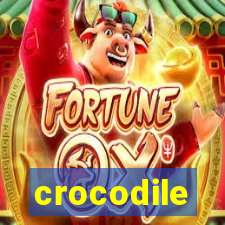 crocodile-pg.com