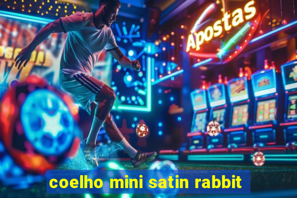 coelho mini satin rabbit